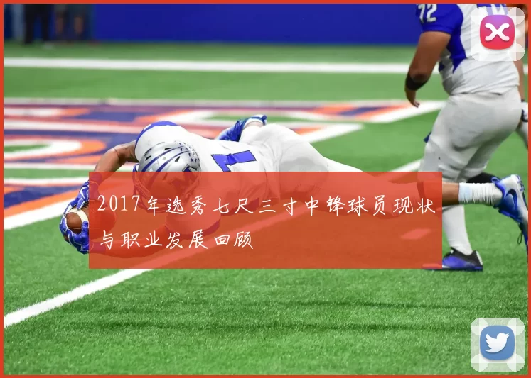 2017年选秀七尺三寸中锋球员现状与职业发展回顾