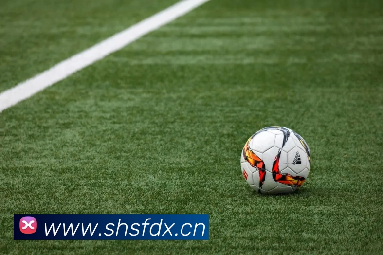 开云(中国)Kaiyun·官方网站 - 登录入口品牌故事