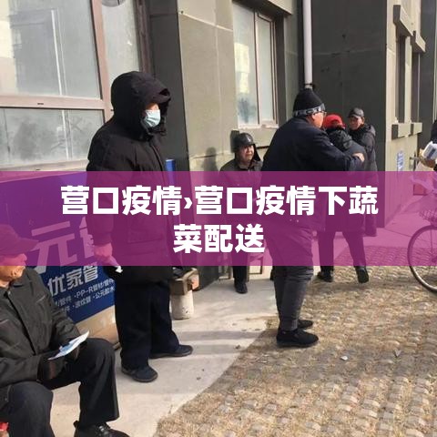 营口疫情›营口疫情下蔬菜配送 营口疫情›营口疫情下蔬菜配送