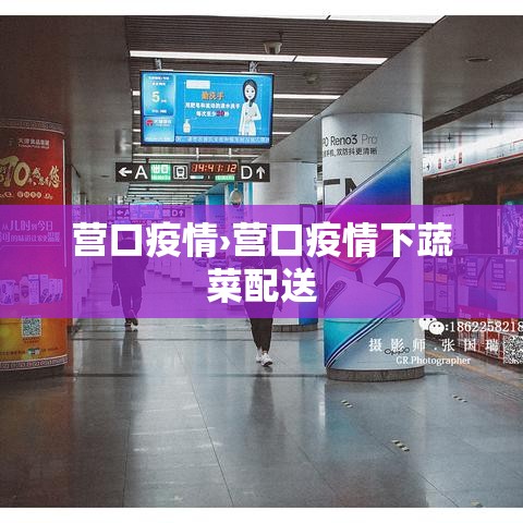 营口疫情›营口疫情下蔬菜配送 营口疫情›营口疫情下蔬菜配送