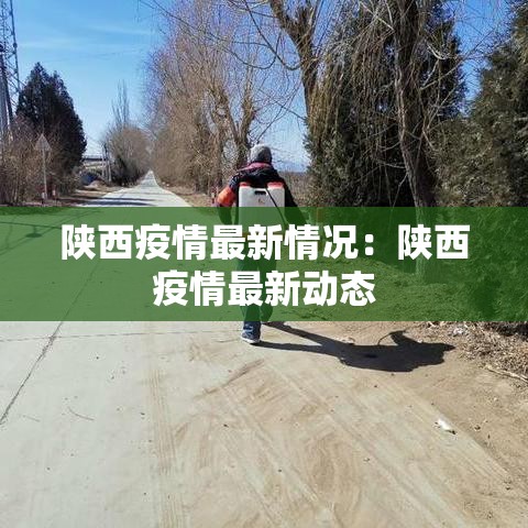 陕西疫情最新情况:陕西疫情最新动态 陕西疫情最新情况:陕西疫情最新动态